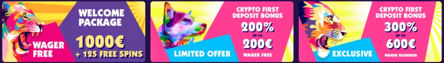 Haz casino